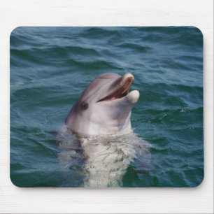 Dolfin Mouse Pad