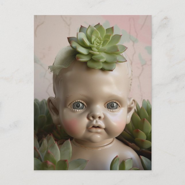 Doll in the Succulent Plants Postcard (Front)