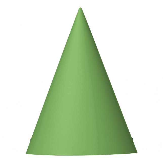 Dollar Bill Green Party Hat (Front)