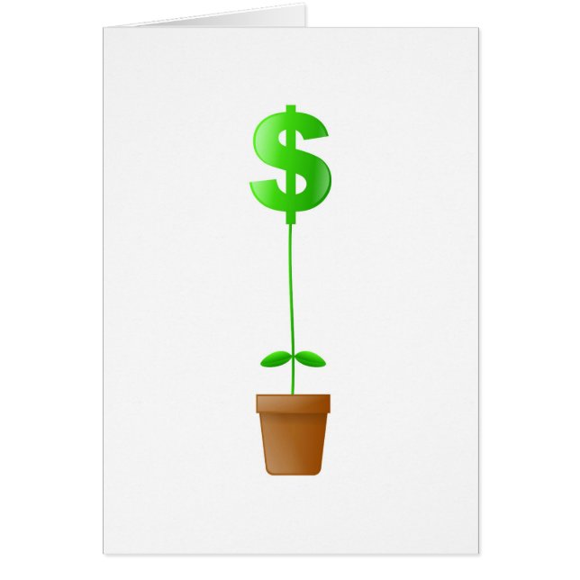 Dollar Plant (Front)