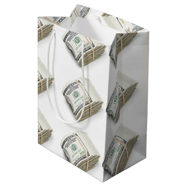 Dollars Medium Gift Bag (Back Angled)