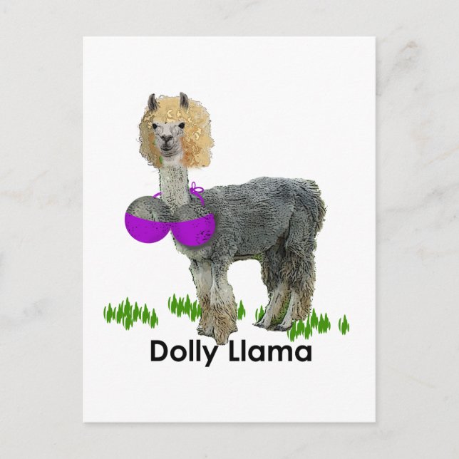 Dolly Llama Postcard (Front)