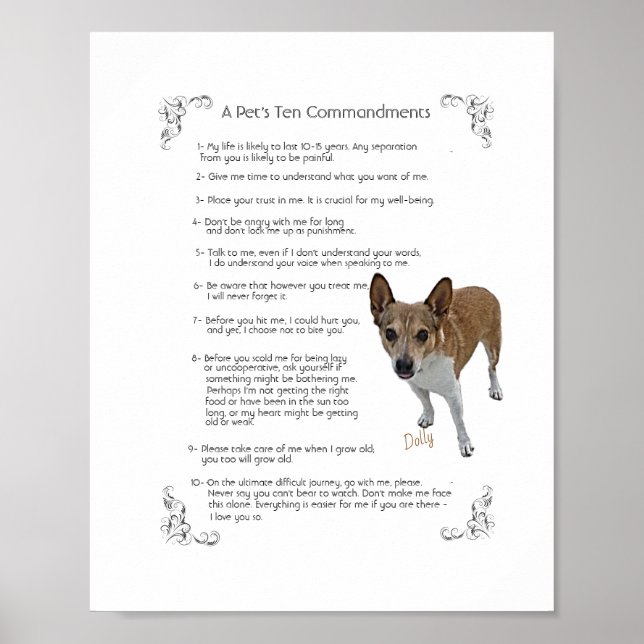 Dolly  -    Poster (Front)