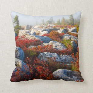 Dolly Sods Wilderness Fall Scenic With Fog Cushion