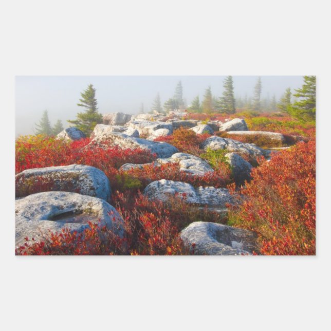Dolly Sods Wilderness Fall Scenic With Fog Rectangular Sticker (Front)