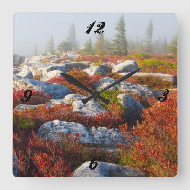 Dolly Sods Wilderness Fall Scenic With Fog Square Wall Clock (Front)