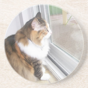 Dolly the Cat Coaster