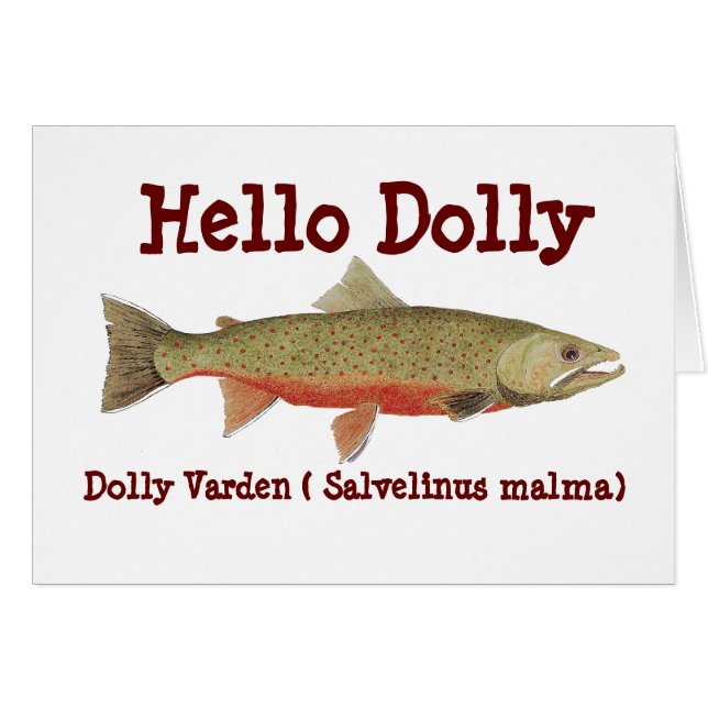 Dolly Varden Card (Front Horizontal)