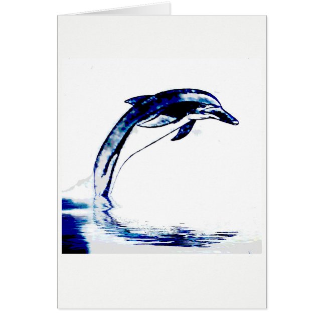 Dolphin (Front)