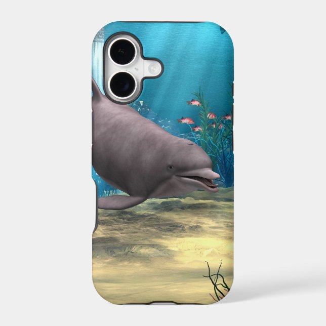 Dolphin (Back)