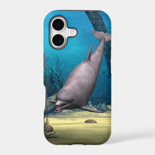 Dolphin