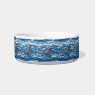 Dolphin20151021 Bowl