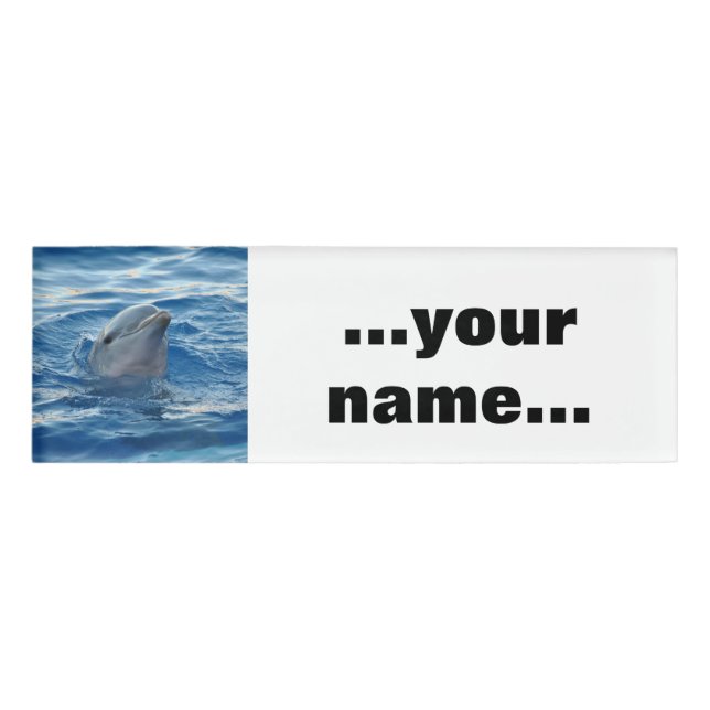 Dolphin20151021 Name Tag (Front)