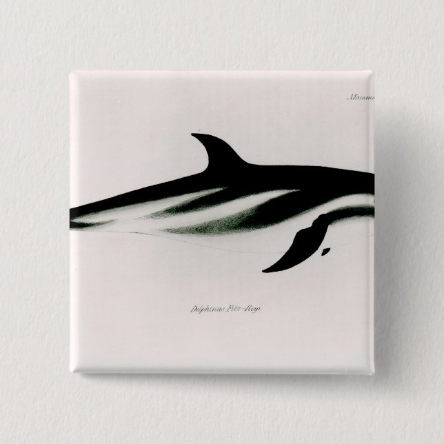 Dolphin 15 Cm Square Badge (Front)