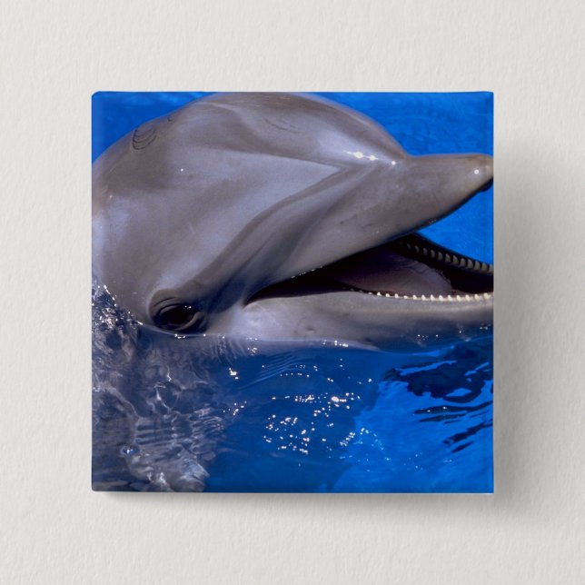 Dolphin 15 Cm Square Badge (Front)