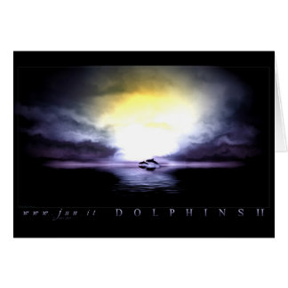 Dolphin 2