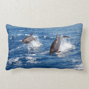 Dolphin Adventure Lumbar Cushion