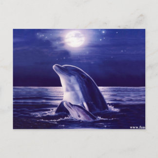 Dolphin and Baby Postcard
