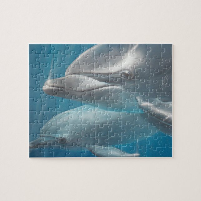 Dolphin and Baby Puzzle (Horizontal)