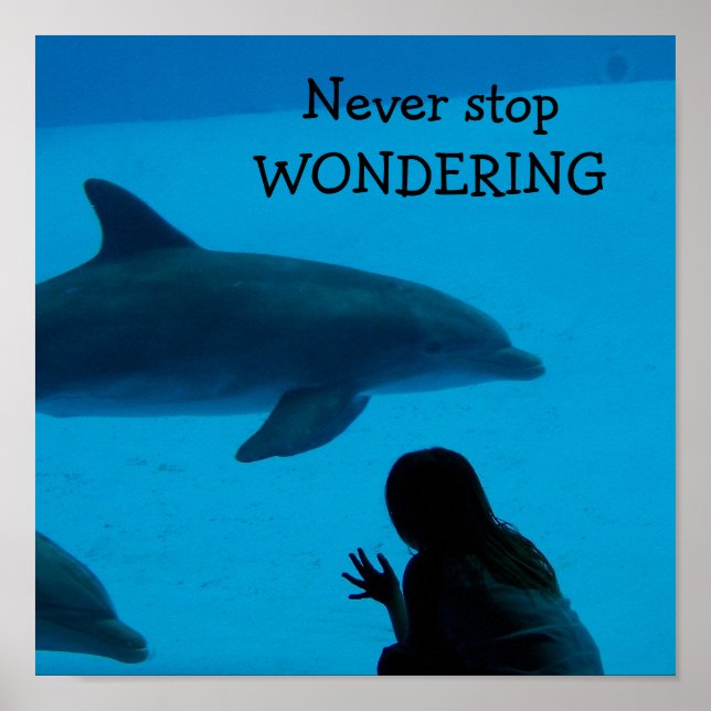 Dolphin and Ocean "Never Stop Wondering" Poster (Front)