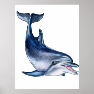 Dolphin art  poster