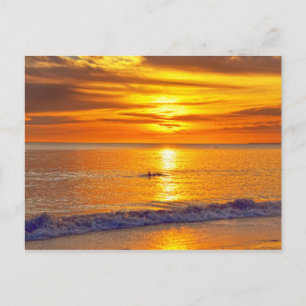 Dolphin at Sunset, Fort Myers Beach, Florida Postcard