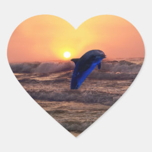 Dolphin at sunset heart sticker