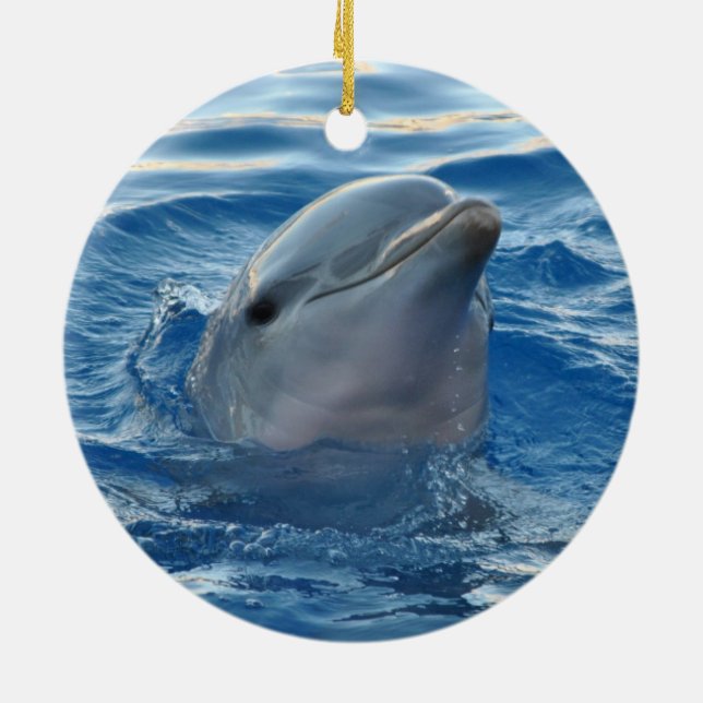 Dolphin Ceramic Ornament (Back)