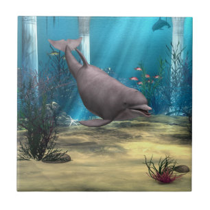 Dolphin Ceramic Tile