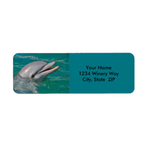 Dolphin Close Up Return Address Label