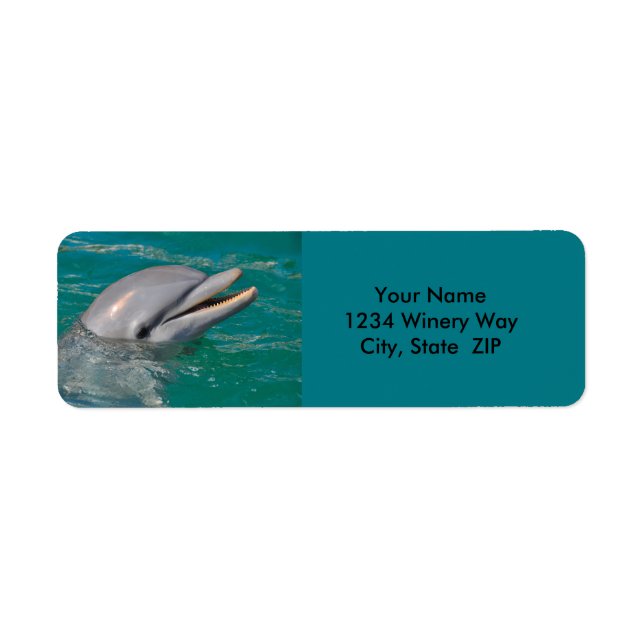 Dolphin Close Up Return Address Label (Front)
