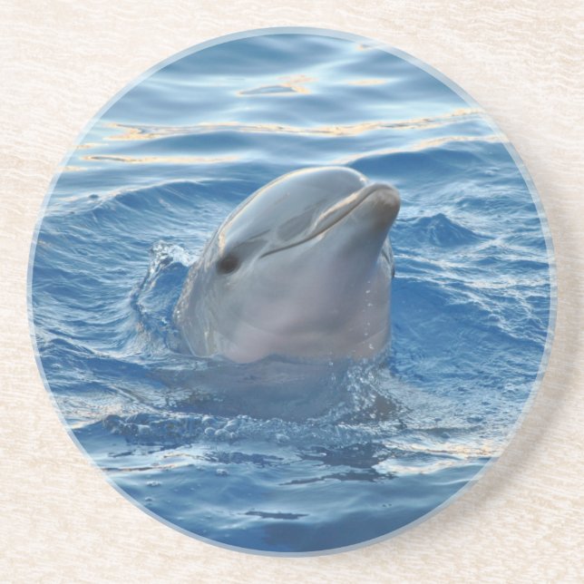 Dolphin Coaster (Front)