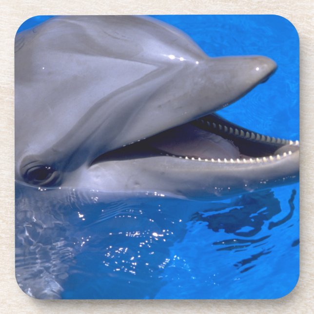 Dolphin coaster set (Front)
