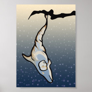 dolphin cocoon poster