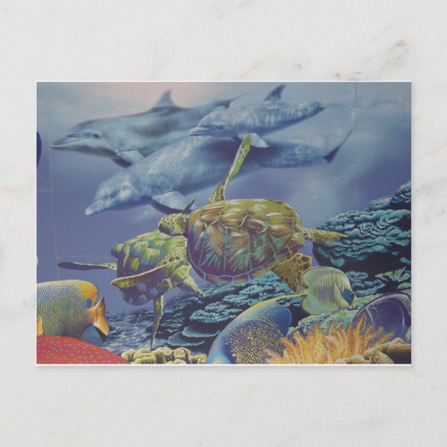 Dolphin Dance with Tropical Fish Postcard (Front)