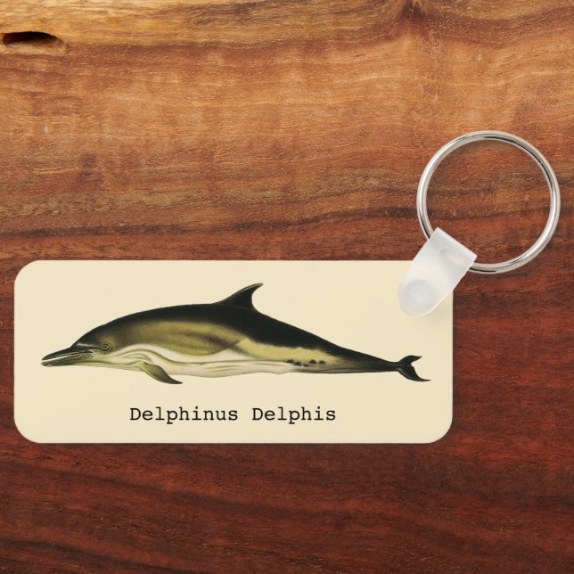 Dolphin Delphinus Delphis, Vintage Marine Animals Key Ring (Front)
