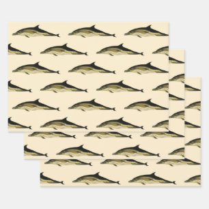 Dolphin Delphinus Delphis, Vintage Marine Animals Wrapping Paper Sheet