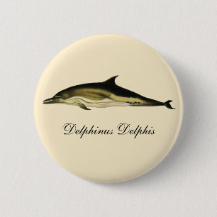 Dolphin Delphinus Delphis, Vintage Marine Mammals  6 Cm Round Badge