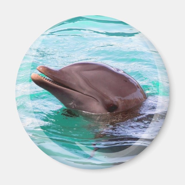 Dolphin Design Magnet (Front)