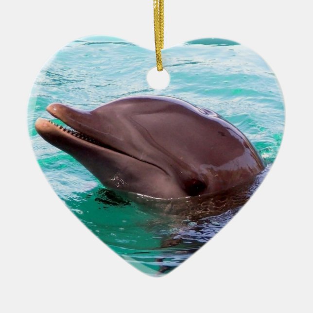 Dolphin Design Ornament (Front)