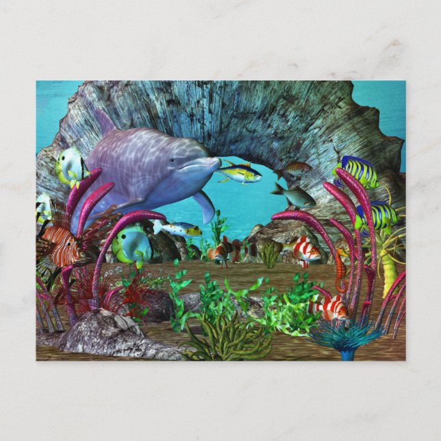 Dolphin Discovery 2 3D Aquarium Postcard (Front)