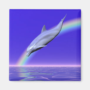 Dolphin Diving with Rainbow Magnet