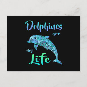 Dolphin Dolphins Ocean Sea Fish Animal Funny Gift Postcard