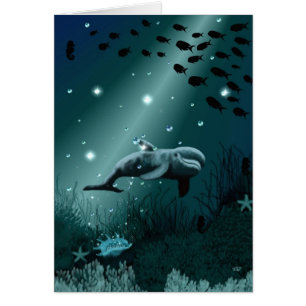 Dolphin Dream