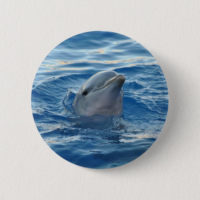 Dolphin Face in Ocean Cute Photo 6 Cm Round Badge (Front)