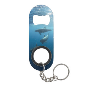 Dolphin Family Underwater