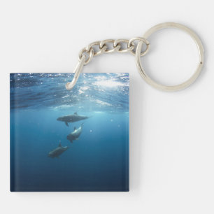 Dolphin Family Underwater Key Ring