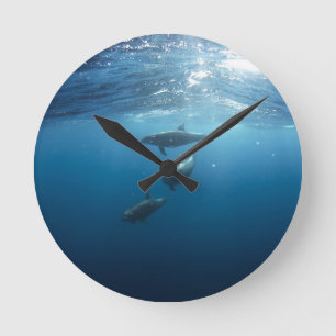 Dolphin Family Underwater Round Clock
