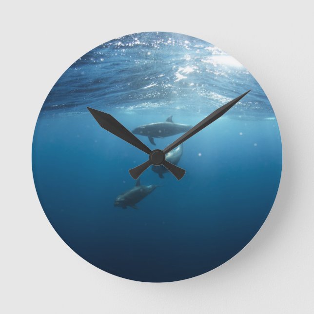Dolphin Family Underwater Round Clock (Front)