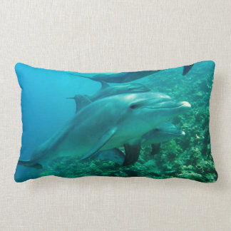 dolphin fish marine ocean under water swim lumbar cushion